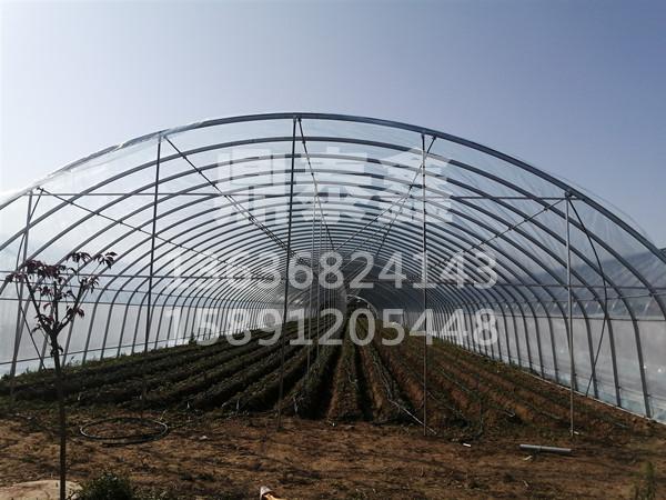 经过十多年的观察比较,发现从8米宽,4根柱子的大棚,到现在12米宽,5根
