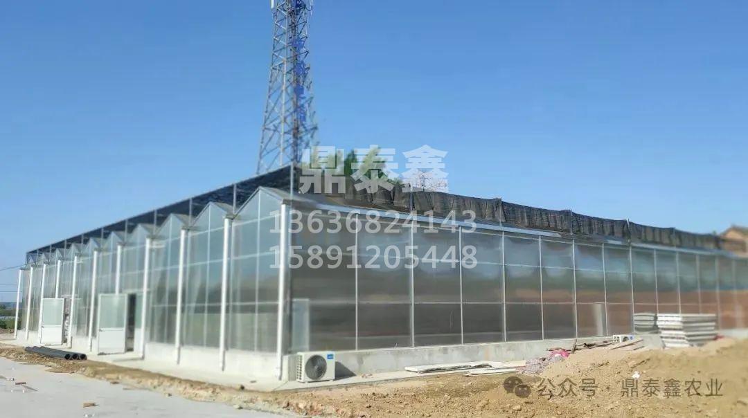 PC阳光板：温室大棚覆盖材料的七...