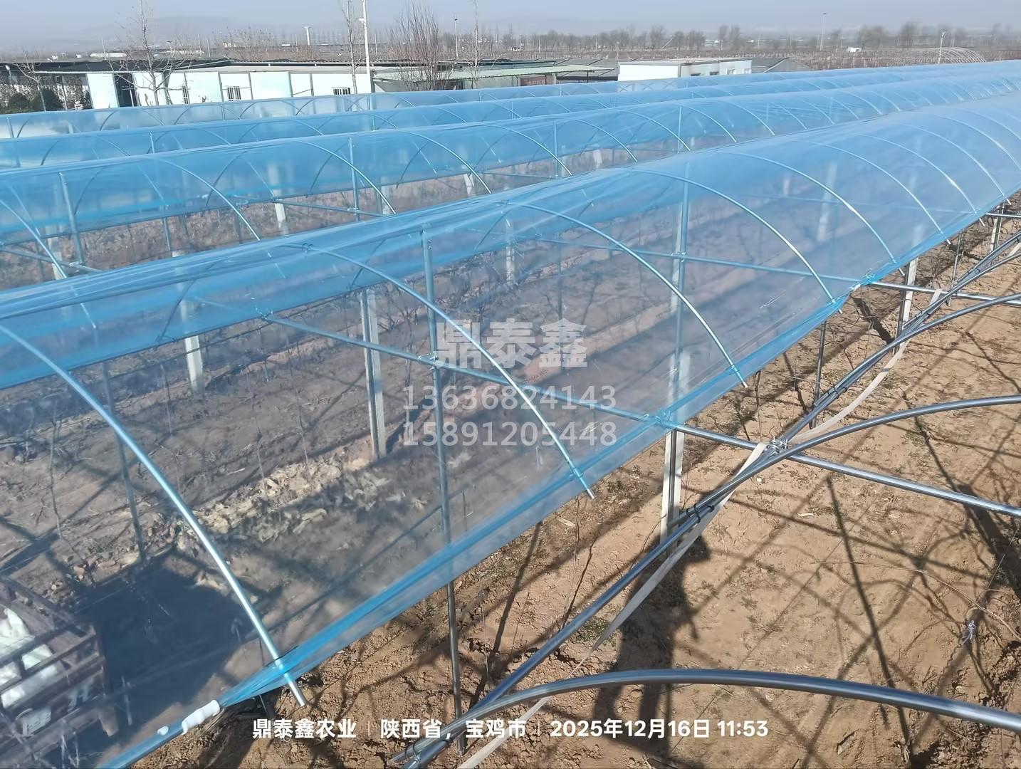 避雨棚，休眠期搭建正当时：专业设...