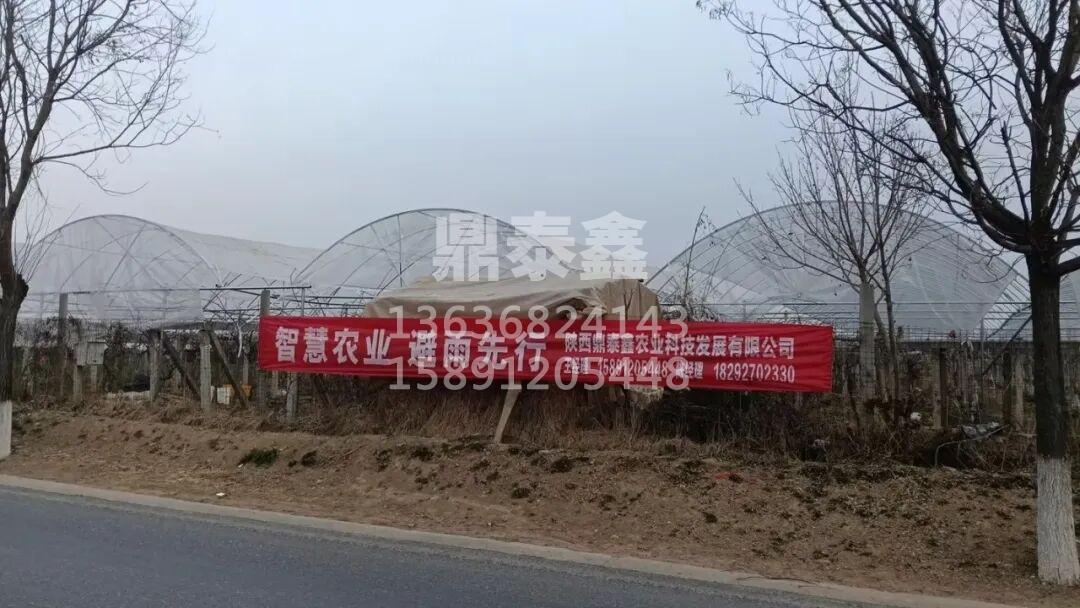 避雨棚：为葡萄、猕猴桃、樱桃撑起...