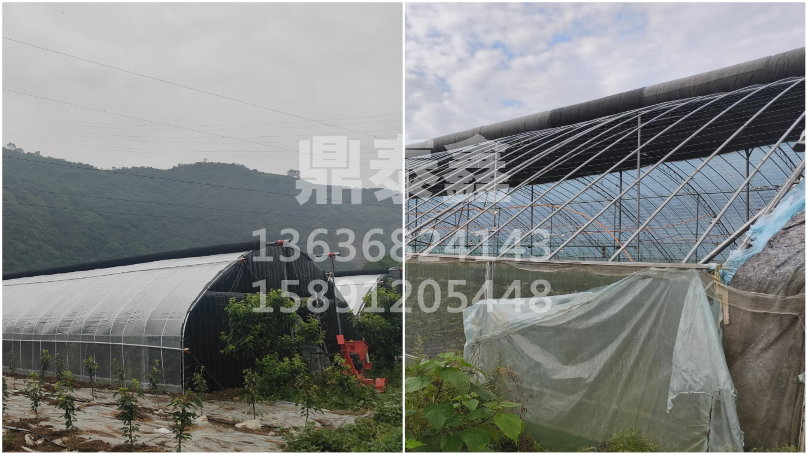 老旧大棚年年修？温室大棚升级改造...